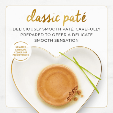 Tech Description_Classic Pate - Copy