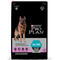 all sizes all ages dog 1