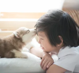 Introducing Puppies and Children