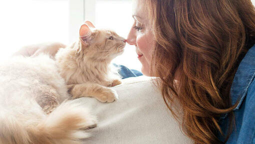 Woman and cat rubbing noses