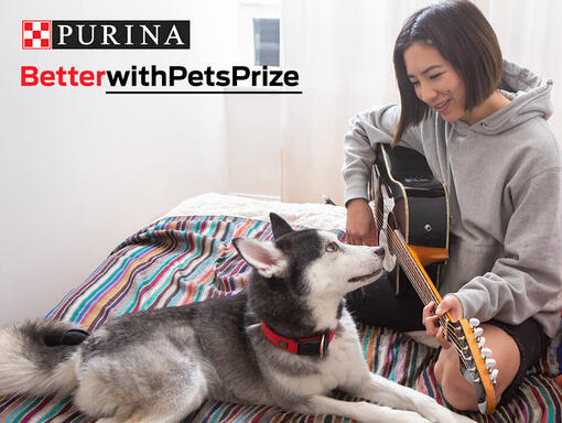 Better with pets prize woman sat with dog