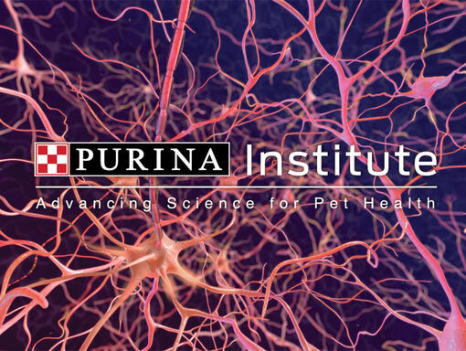 Purina institute logo