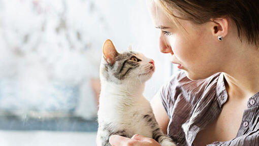 Rescued Munchkin Cat Greets Her Humans With 'Hello