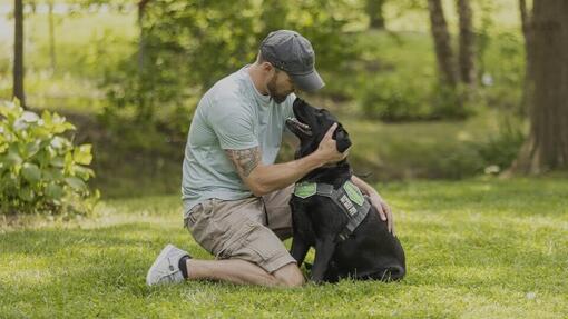 Dog Chow Hero Image 960x540