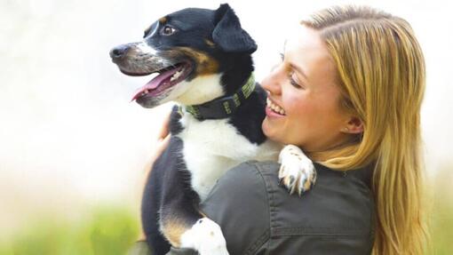 PURINA BENEFUL Hero Image 960x540