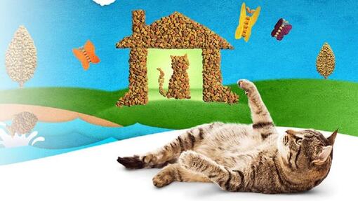 PURINA FRISKIES Hero Image 960x540
