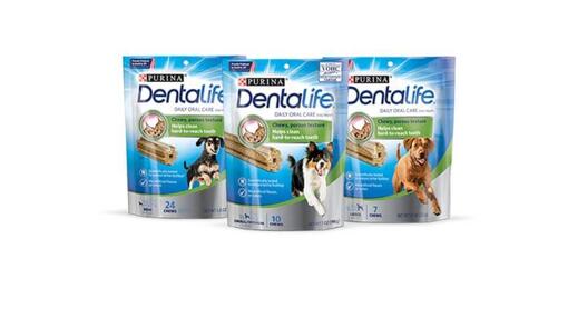 dentalife dog insert 1
