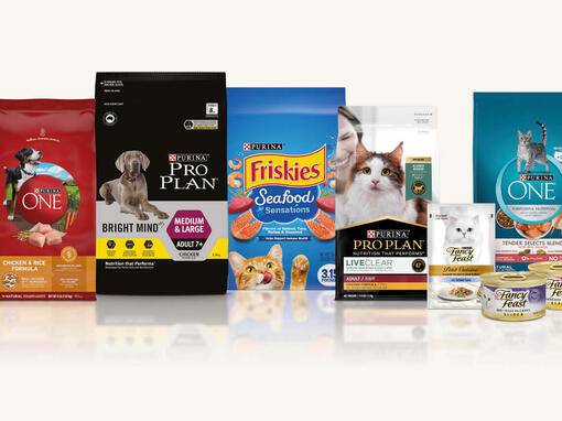 PURINA Group Packshot Cream Background 1139 x 854px