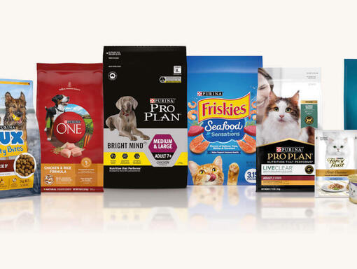 PURINA Group Packshot Cream Background 930 x 700px