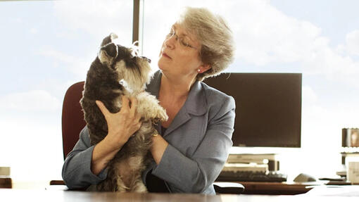 Purina_PetsAtWork_Dog-at-desk-boss-on-board