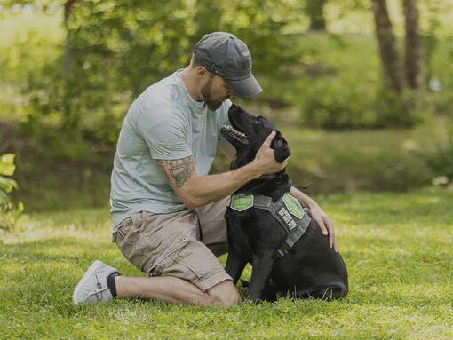 DOG CHOW Hero Image 960 x 720px