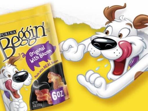 PURINA BEGGIN Hero Image 540 x 405px