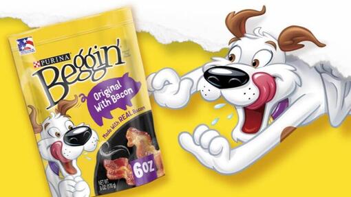 purina-beggin-hero-image-960x540