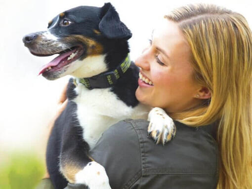 PURINA BENEFUL Hero Image 720 x 540px