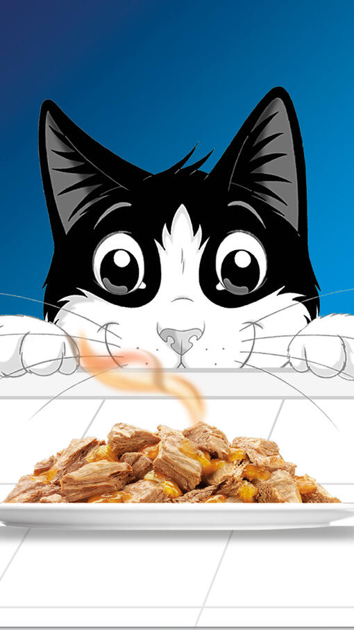 Oscar cat