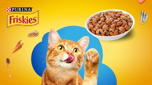 Friskies hero image mobile_960x540.jpg
