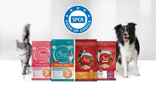 Purina One Banner