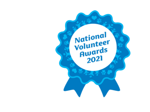 volunteer-award-2021-b.png