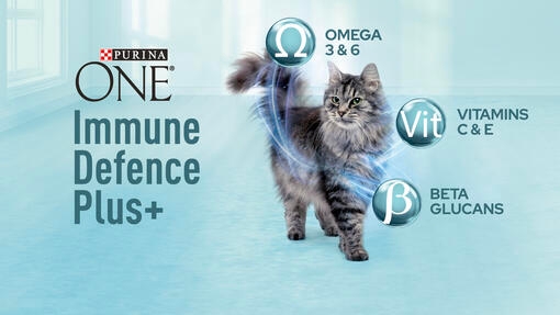 Purina One Immune Defence Plus