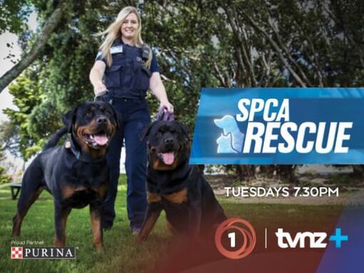 SPCA Rescue Show Image Desktop new