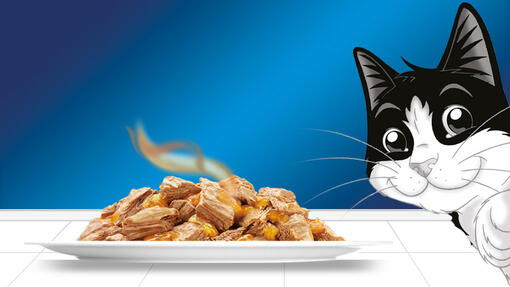 Oscar Landing Page Banner