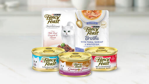 Fancy Feast Banner