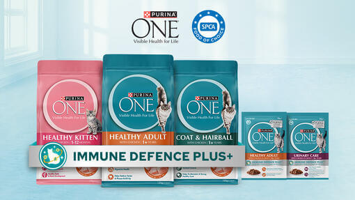 PONE_Cat_Immune_Defence_Plus_Packs_960x540_V4