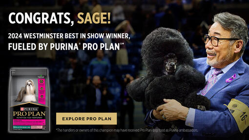 Sage Winner