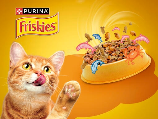 Friskies Banner