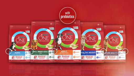 Purin One Dog Website Banner Packshots