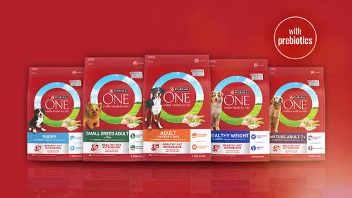 NZ_PU_ONE_Dog_NZ Website Banners_Packshots_930×526px_2