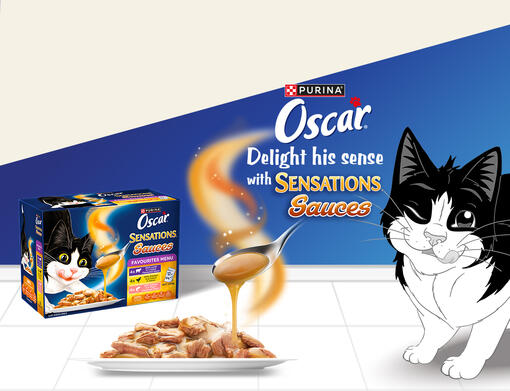 OSCAR_SS_banner_Mobile-1139x872_v3