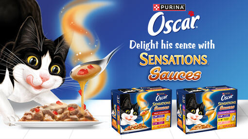 Oscar Sensation Sauces