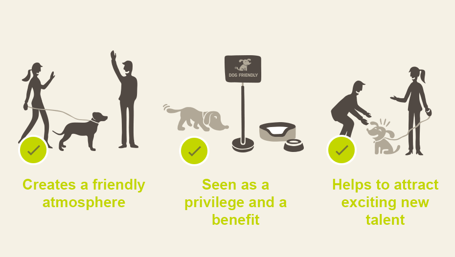 Employer media image Pets at work infographic