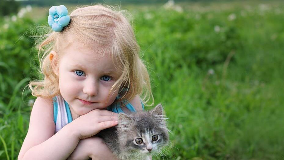 choosing kitten 2 choosing kitten 2