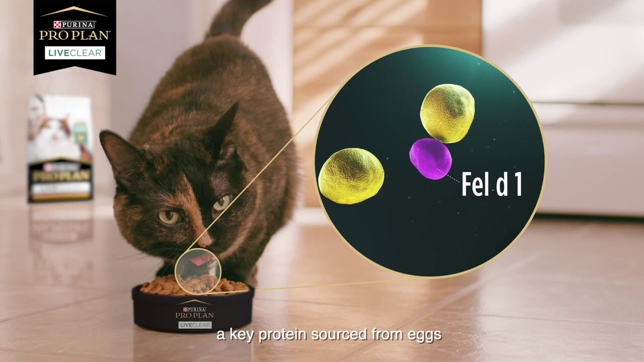 The First Allergen-Reducing Cat Food