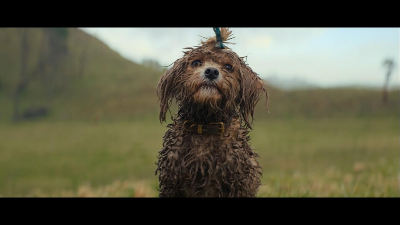 Check out our latest TV commercial. 