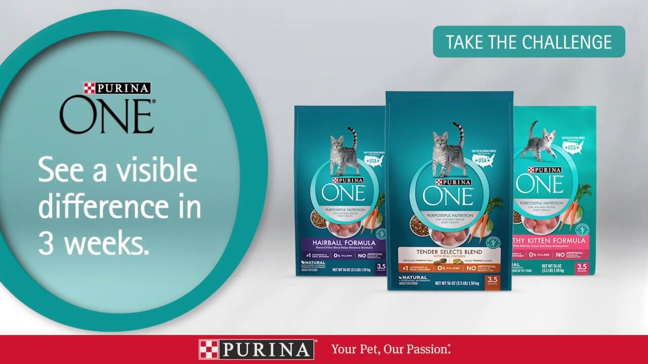 PURINA ONE® | 3 Week Challenge | Visible Signs of Health