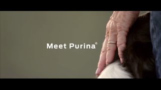 Our Values Stand the Test of Time - Purina