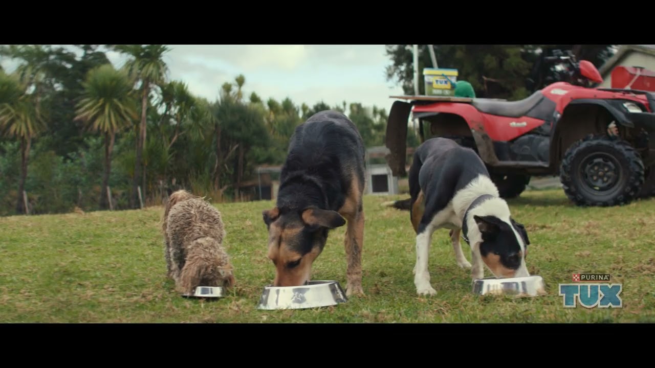 Check out our latest TV commercial. 