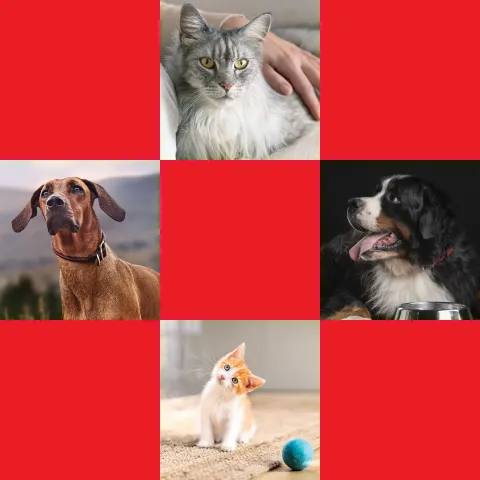 Nourishing pets Purina pets grid card